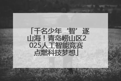 千名少年‘智’逐山海！青岛崂山区2025人工智能竞赛点燃科技梦想
