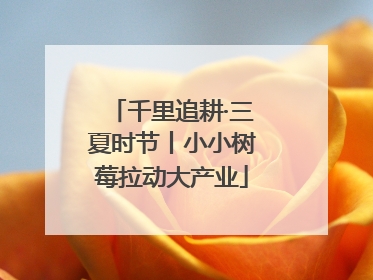 千里追耕·三夏时节丨小小树莓拉动大产业