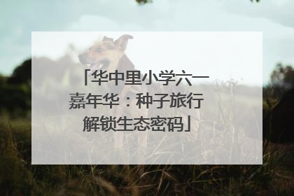 华中里小学六一嘉年华：种子旅行解锁生态密码