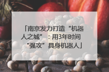 南京发力打造“机器人之城”：用3年时间“强攻”具身机器人
