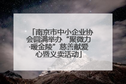 南京市中小企业协会圆满举办“聚微力·暖金陵”慈善献爱心暨义卖活动