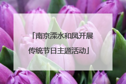 南京溧水和凤开展传统节日主题活动