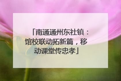 南通通州东社镇：馆校联动拓新篇，移动课堂传忠孝