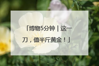 博物5分钟｜这一刀，值半斤黄金！