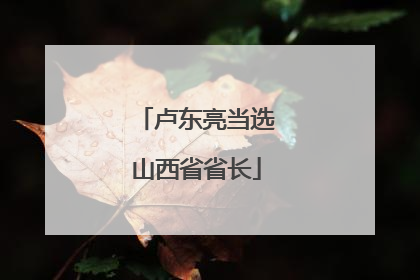 卢东亮当选山西省省长
