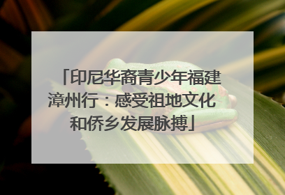 印尼华裔青少年福建漳州行：感受祖地文化和侨乡发展脉搏