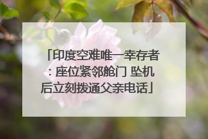 印度空难唯一幸存者：座位紧邻舱门 坠机后立刻拨通父亲电话