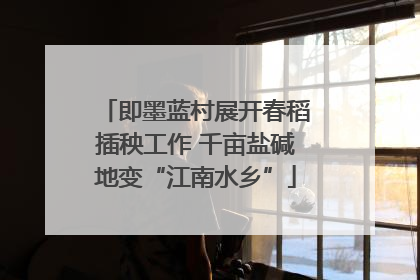 即墨蓝村展开春稻插秧工作 千亩盐碱地变“江南水乡”