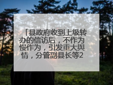 县政府收到上级转办的信访后，不作为慢作为，引发重大舆情，分管副县长等25人被处理