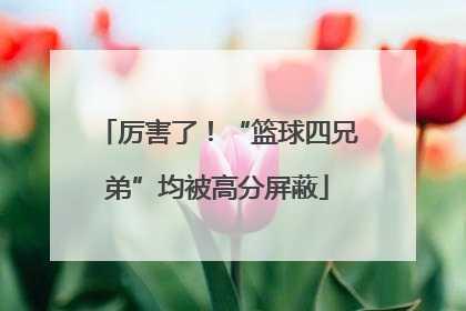 厉害了！“篮球四兄弟”均被高分屏蔽