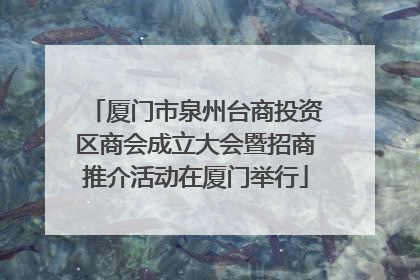 厦门市泉州台商投资区商会成立大会暨招商推介活动在厦门举行
