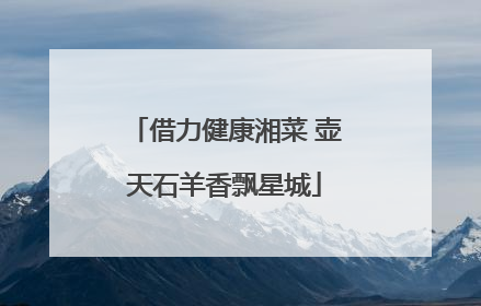 借力健康湘菜 壶天石羊香飘星城