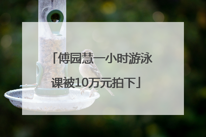 傅园慧一小时游泳课被10万元拍下