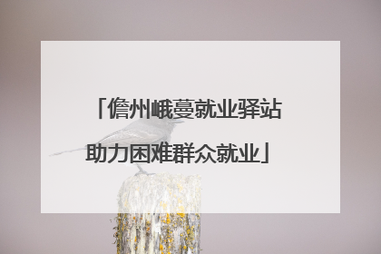 儋州峨蔓就业驿站助力困难群众就业