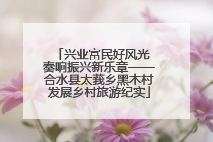 兴业富民好风光 奏响振兴新乐章——合水县太莪乡黑木村发展乡村旅游纪实