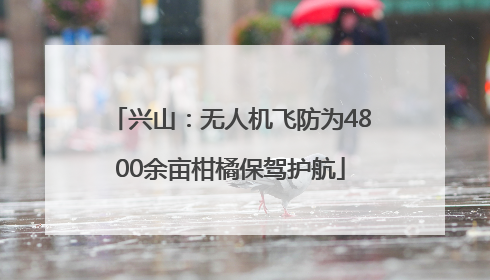 兴山：无人机飞防为4800余亩柑橘保驾护航