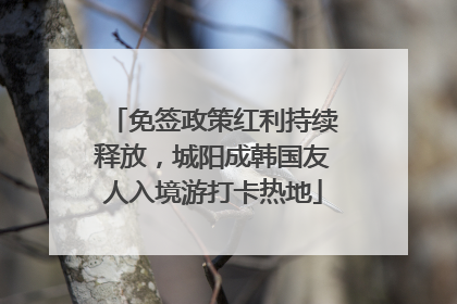 免签政策红利持续释放，城阳成韩国友人入境游打卡热地