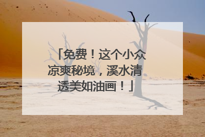 免费！这个小众凉爽秘境，溪水清透美如油画！