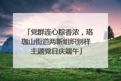 党群连心粽香浓，珞珈山街道两新组织别样主题党日庆端午