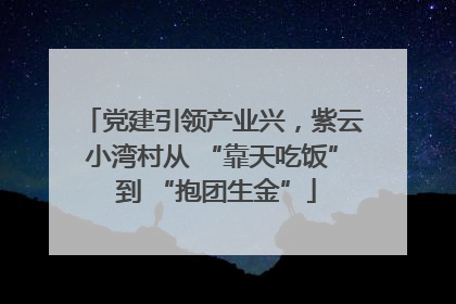 党建引领产业兴，紫云小湾村从 “靠天吃饭” 到 “抱团生金”