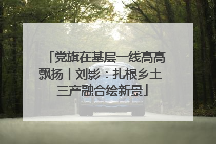 党旗在基层一线高高飘扬丨刘影：扎根乡土 三产融合绘新景