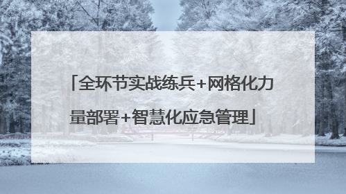 全环节实战练兵+网格化力量部署+智慧化应急管理