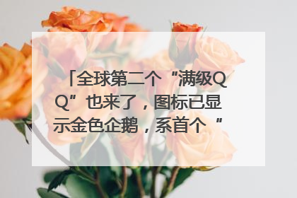 全球第二个“满级QQ”也来了，图标已显示金色企鹅，系首个“满级QQ”的小号