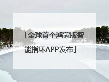 全球首个鸿蒙版智能指环APP发布