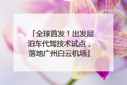 全球首发！出发层泊车代驾技术试点，落地广州白云机场