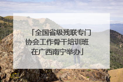 全国省级残联专门协会工作骨干培训班在广西南宁举办
