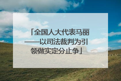 全国人大代表马丽——以司法裁判为引领做实定分止争