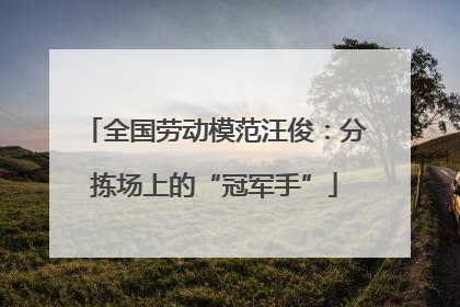 全国劳动模范汪俊：分拣场上的“冠军手”