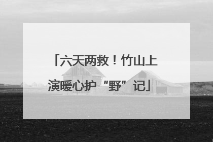 六天两救！竹山上演暖心护“野”记