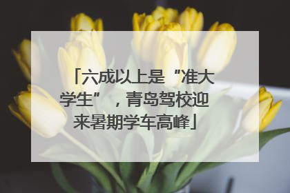 六成以上是“准大学生”，青岛驾校迎来暑期学车高峰