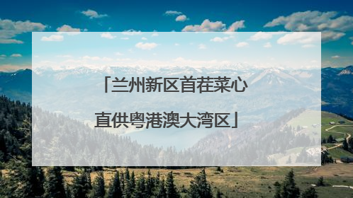 兰州新区首茬菜心直供粤港澳大湾区