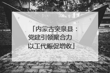 内蒙古突泉县：党建引领聚合力 以工代赈促增收
