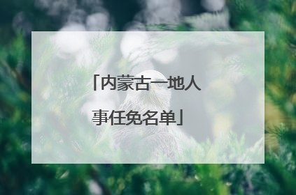 内蒙古一地人事任免名单