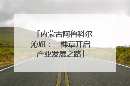 内蒙古阿鲁科尔沁旗：一棵草开启产业发展之路