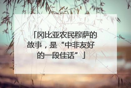 冈比亚农民穆萨的故事，是“中非友好的一段佳话”