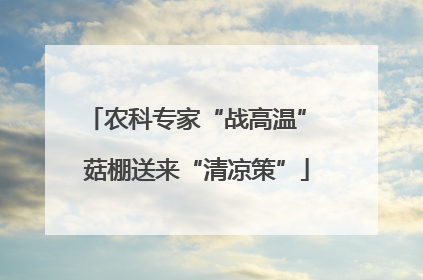 农科专家“战高温” 菇棚送来“清凉策”