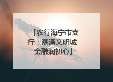 农行海宁市支行：潮涌文明城 金融润初心