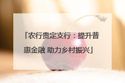 农行贵定支行：提升普惠金融 助力乡村振兴