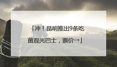 冲！昆明推出9条吃菌观光巴士，票价→