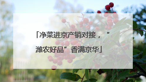 净菜进京产销对接，“潍农好品”香满京华