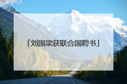 刘国梁获联合国聘书