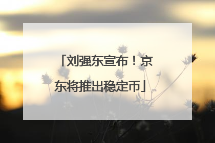 刘强东宣布！京东将推出稳定币