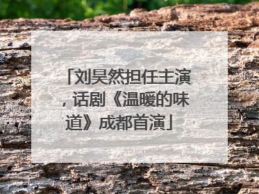 刘昊然担任主演，话剧《温暖的味道》成都首演