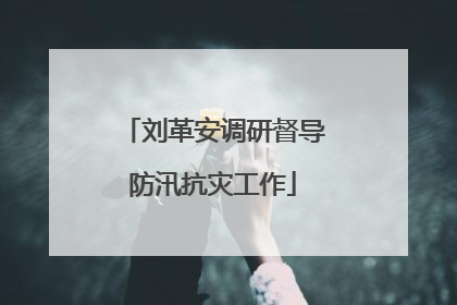 刘革安调研督导防汛抗灾工作
