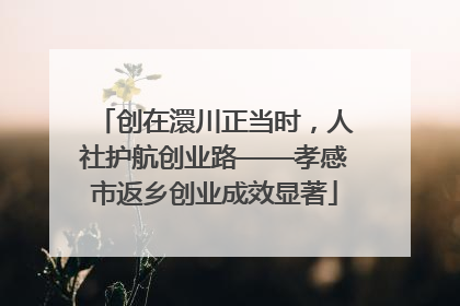 创在澴川正当时，人社护航创业路——孝感市返乡创业成效显著