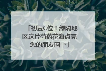 初夏C位！绿隔地区这片芍药花海点亮您的朋友圈→